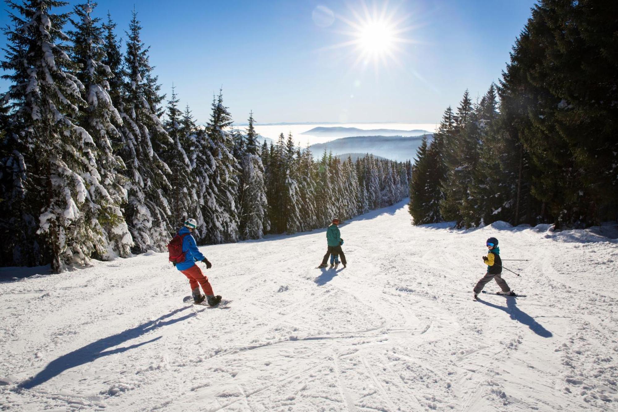 Haus Wiesenquelle - Fewo 14 "Timeout", Feldberg Rinken Bagian luar foto